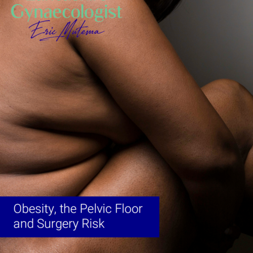 Obesity, the Pelvic Floor  and Surgery Risk